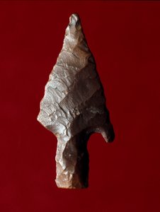 Egyiptomi ókor: nyíl hegye Fayoum (Fayyum vagy Fayum) helyéről Egyiptomban. Predinasztikus időszak. Verone, Museo Civico di Storia Naturale, Olaszország alkotó: Prehistoric Prehistoric