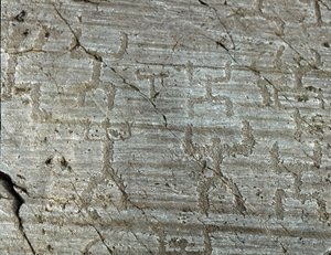 Őstörténet, camunni civilizáció, sziklaművészet: „orants” néven ismert karakterek stilizált ábrázolásából álló sírkő, ég felé feszített karokkal. A neolitikum és a bronzkor közötti időszak. Roche n. 50. Naquane (Brescia) Capo di Ponte, Pa alkotó: Prehistoric Prehistoric