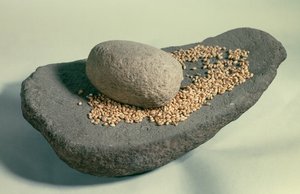 Őstörténet: Szunnyadó kerék szemcsékkel (neolitikum). Franciaország. Saint Germain En Laye, Régiségek Múzeuma. alkotó: Prehistoric Prehistoric