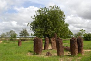 Őstörténet: Megalitikus kőkör Wassuból, Gambia (fotó) alkotó: Prehistoric Prehistoric