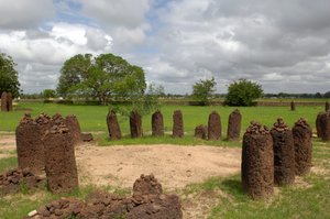 Őstörténet: Megalitikus kőkör Wassuból, Gambia (fotó) alkotó: Prehistoric Prehistoric