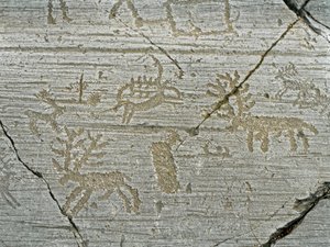 Őstörténet, kamunik civilizációja, sziklaművészet: szarvasábrázolás sírszikla. A neolitikum és a bronzkor közötti időszak. Szikla. 1. Capo di Ponte, Naquane Rock Carvings Nemzeti Park, Valcamonica, Val Camonica, Olaszország alkotó: Prehistoric Prehistoric