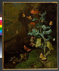 Csendélet virágokkal, pillangókkal és gyíkkal a dellben, 1750 előtt alkotó: Rachel Ruysch