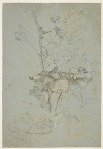 Növénytanulmány alkotó: Rachel Ruysch