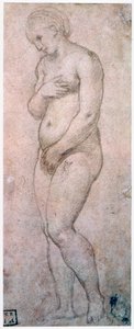 Vénusz tanulmányozása, 1500-1520 alkotó: Raffaello Sanzio Raphael