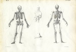 Emberi lény, 1863-79 alkotó: Raimundo Petraroja