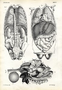 Belek, 1863-79 alkotó: Raimundo Petraroja