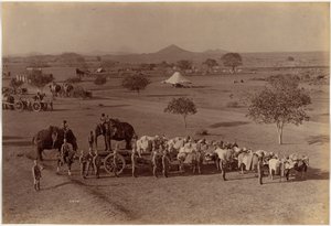 Nehéz tábori üteg, Jhansi alkotó: Raja Deen Dayal