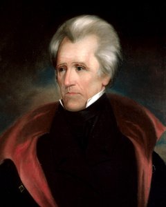 Andrew Jackson fej (4x5-ös képkivágás)