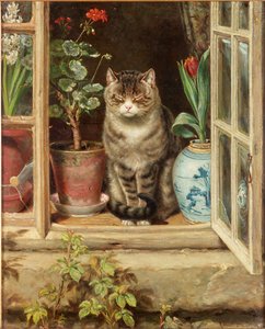 Villog a napon, 1881