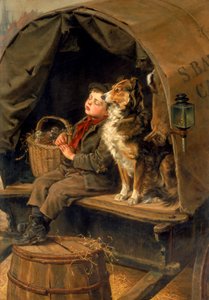 Last in Market vagy The Carrier