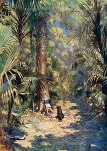 Illusztráció Robinson Crusoe-hoz, Daniel Defoe (színes litó)
