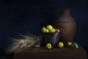  alkotó: Ramiz Sahin