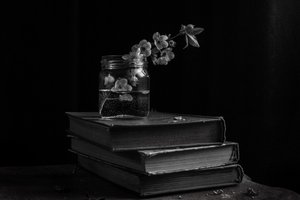  alkotó: Ramiz Sahin