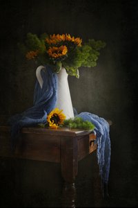  alkotó: Ramiz Sahin