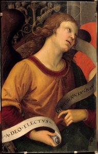 Egy angyal. Baronci oltárkép töredéke. Raffaello Sanzio dit Raphael (1483-1520) festménye alkotó: Raphael