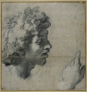 Fej és kéz tanulmányozása alkotó: Raphael