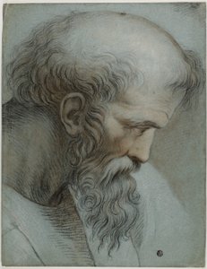 Pythagoras feje alkotó: Raphael