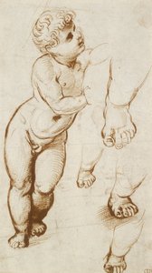 Recto: The Infant Christ and other Studies, 1500-1520 alkotó: Raphael