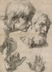 Tanulmányok két apostol fejéről és kezükről, 16. század alkotó: Raphael