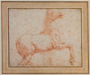 Az egyik Quirinal márványló tanulmányozása, 1515-17 alkotó: Raphael