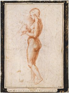 Fiatal női alak profilban, 1517 körül. alkotó: Raphael