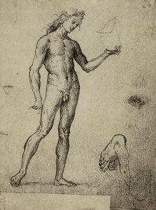 Férfi akt tanulmány; Raphael rajza. Gallerie dellAccademia, Velence