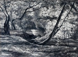 Aljnövényzet folyóval (szén)