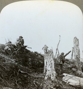 Assault in Trones Wood, Somme, Franciaország, I. világháború, 1916 alkotó: Realistic Travels Publishers