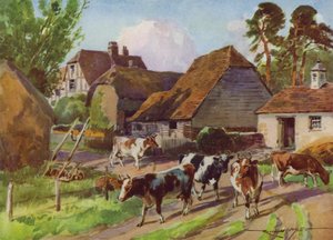 Illusztráció a My Farmhoz (színes litó) alkotó: Reginald Mills