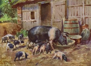 Illusztráció a My Farmhoz (színes litó) alkotó: Reginald Mills