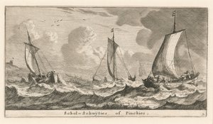 "Scholshuiten" vagy "Pinken"
