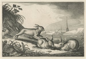 Dűne táj nyulakkal Diversa Animalia Quadrupedia (sorozat címe)