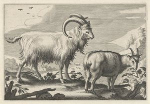 Dombos táj két kecskével Diversa Animalia Quadrupedia (sorozat címe)
