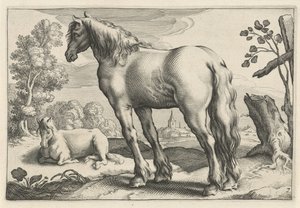 Táj két lóval Diversa Animalia Quadrupedia (sorozat címe)