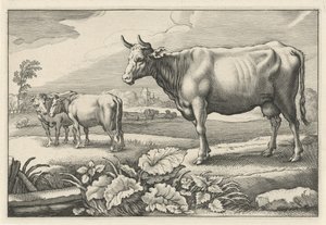 Legelő tehenekkel Diversa Animalia Quadrupedia (sorozat címe)