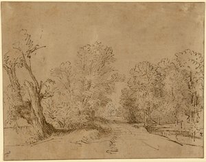 Egy erdős út alkotó: Rembrandt Harmensz. van Rijn