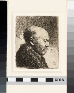 Kopasz fejű férfi profilból jobbra: Rembrandt apja? alkotó: Rembrandt van Rijn