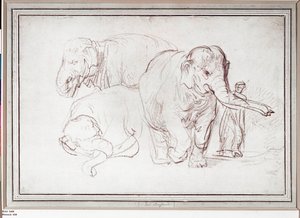  alkotó: Rembrandt Harmensz. van Rijn