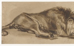 Tanulmány egy alvó oroszlánról alkotó: Rembrandt van Rijn (copy after)