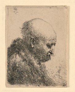 Kopaszfejű férfi profilban jobbra: kis mell; A művész apja? alkotó: Rembrandt van Rijn