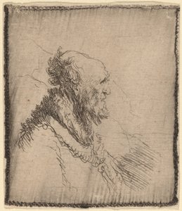 Kopasz öregember rövid szakállú profillal alkotó: Rembrandt van Rijn