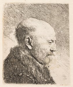 Kopasz férfi profilban (Rembrandt apja?) alkotó: Rembrandt van Rijn