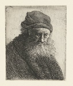 Szakállas férfi rövid hullámos hajjal: mell alkotó: Rembrandt van Rijn