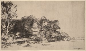 Fák csoportja kilátással alkotó: Rembrandt van Rijn