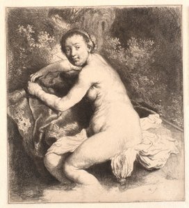 Diana a fürdőben alkotó: Rembrandt van Rijn