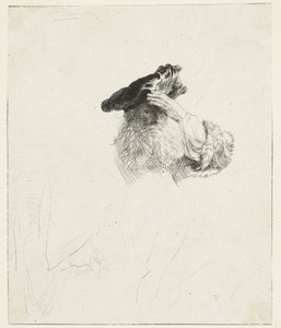 Öregember, aki kezével árnyékolja a szemét alkotó: Rembrandt van Rijn
