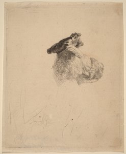Öregember, aki kezével árnyékolja a szemét alkotó: Rembrandt van Rijn