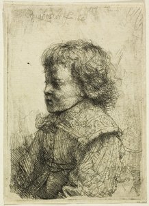 Egy fiú portréja alkotó: Rembrandt van Rijn