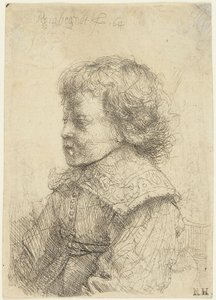 Egy fiú portréja alkotó: Rembrandt van Rijn